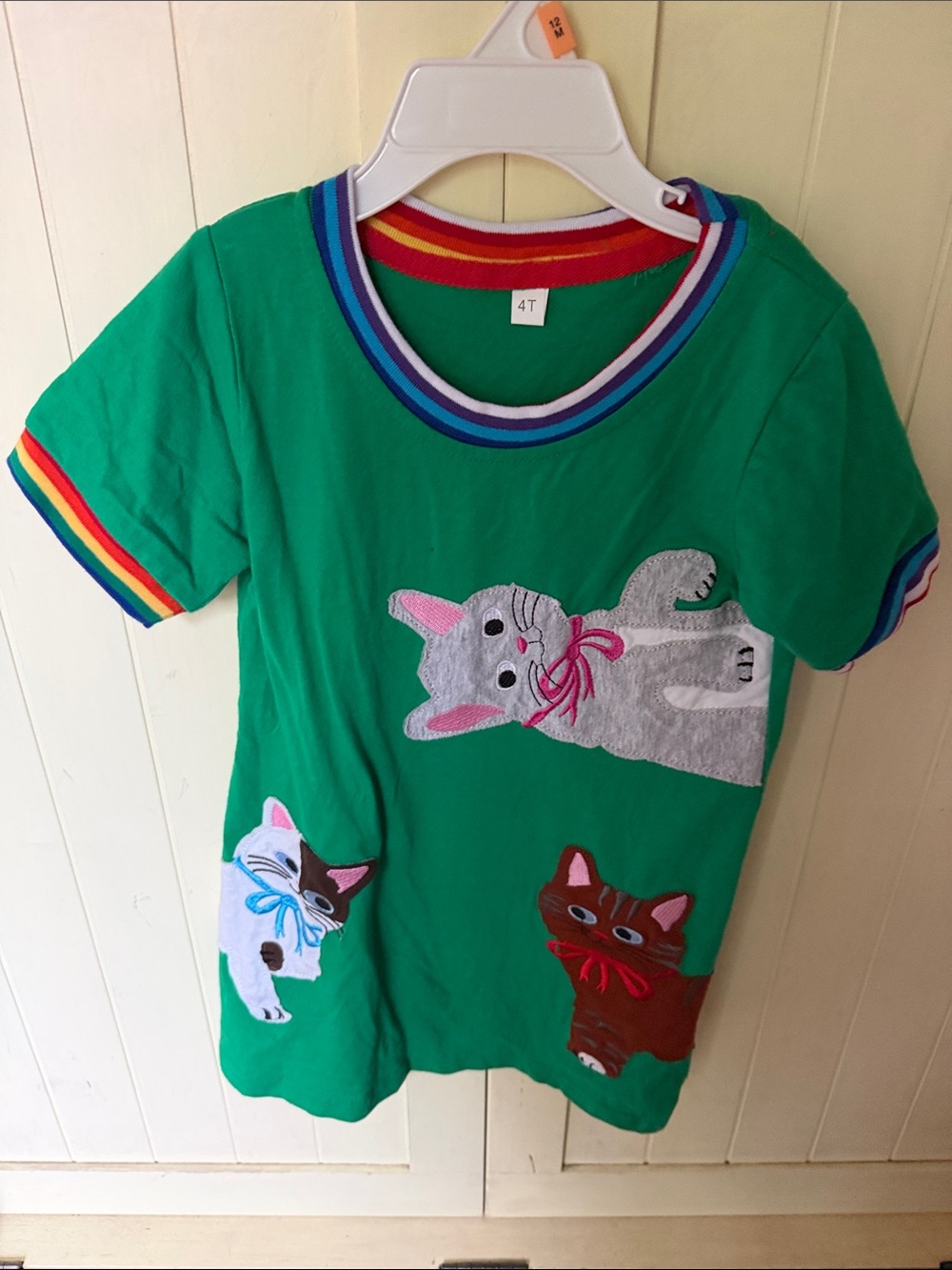 Green Kids cat t-shirt dress with Rainbow Trim